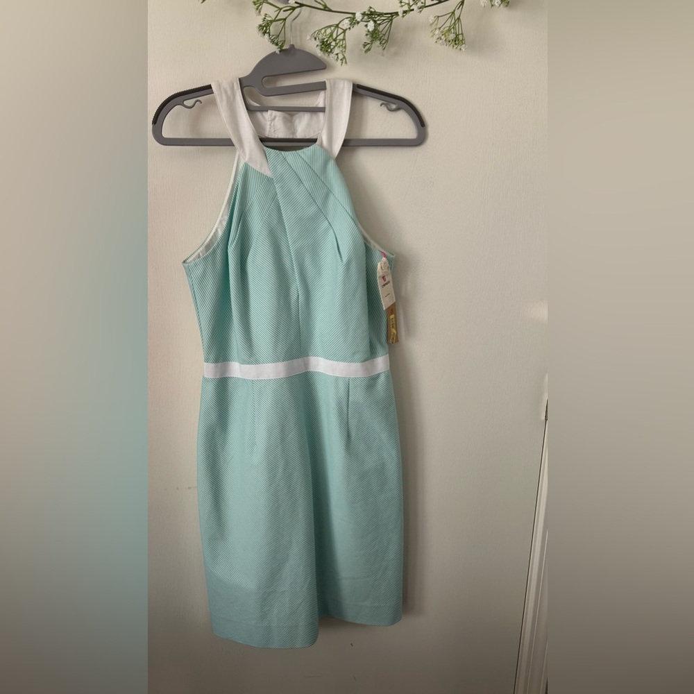 NWT Cremieux | Striped Green/White Mini Dress